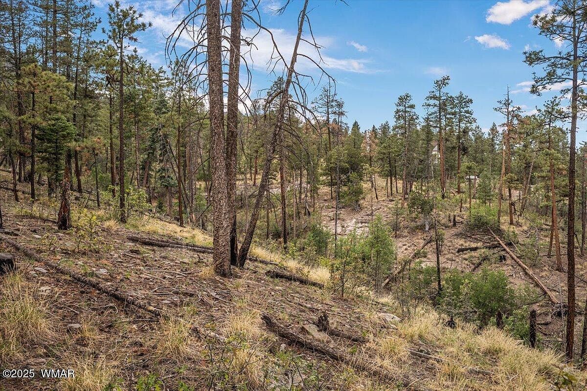 14 County Road 2074 Alpine, AZ 85920 - Thumbnail 4