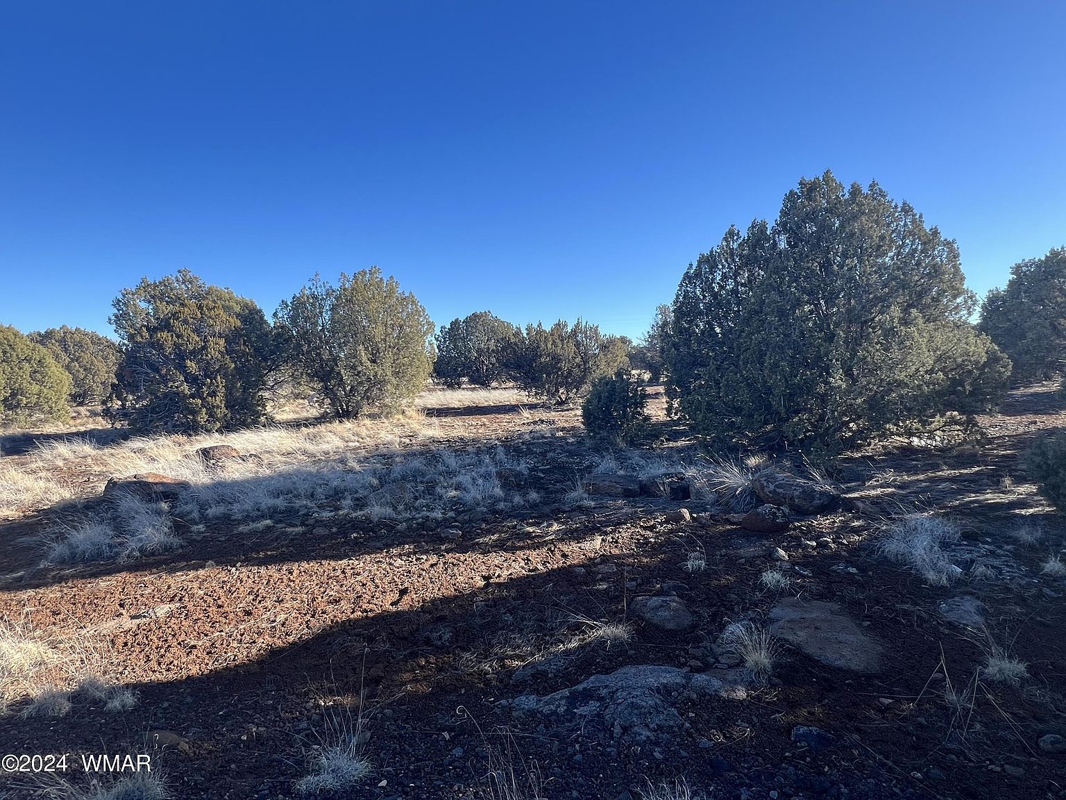 2036 Sitgreaves Ranch Rd Show Low, AZ 85901 - Thumbnail 4