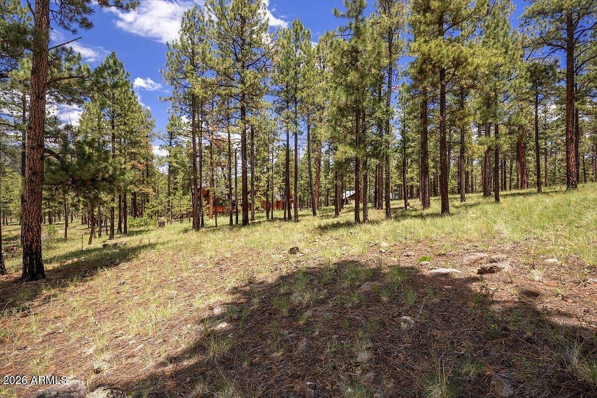 14 County Road N1062 #15 Greer, AZ 85927 - Thumbnail 4