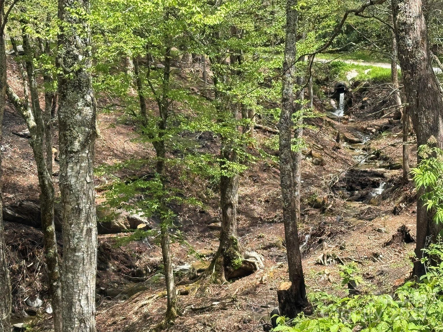 Snow Ridge Rd #35-40 Banner Elk, NC 28604 - Thumbnail 4