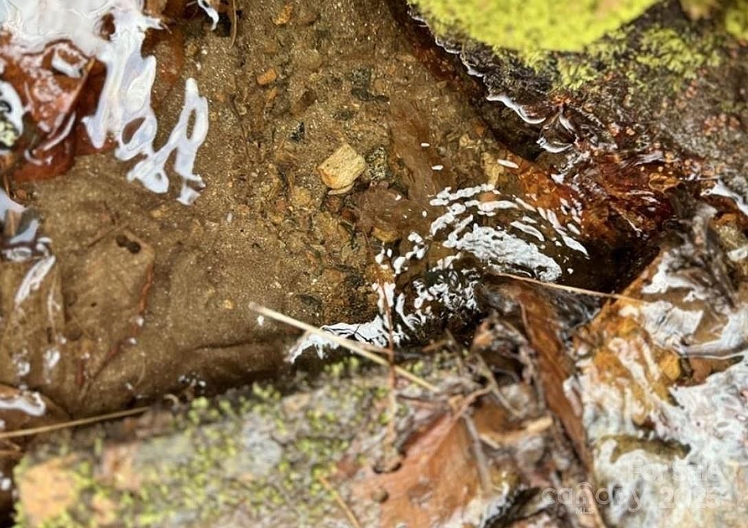 Doublehead Mountain Rd Newland, NC 28657 - Thumbnail 4