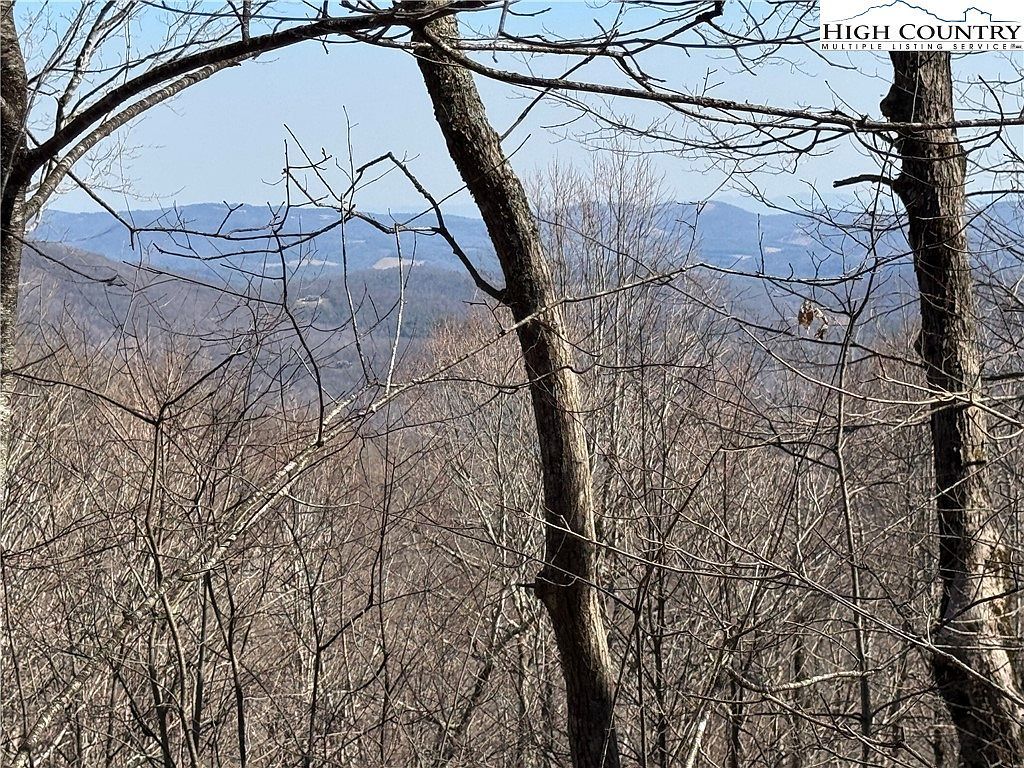 29 Crown Maple Ln W Jefferson, NC 28640 - Thumbnail 4