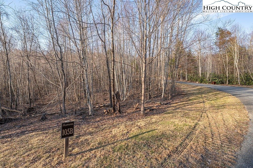 105B Beaver Dam Rd Elk Park, NC 28622 - Thumbnail 4