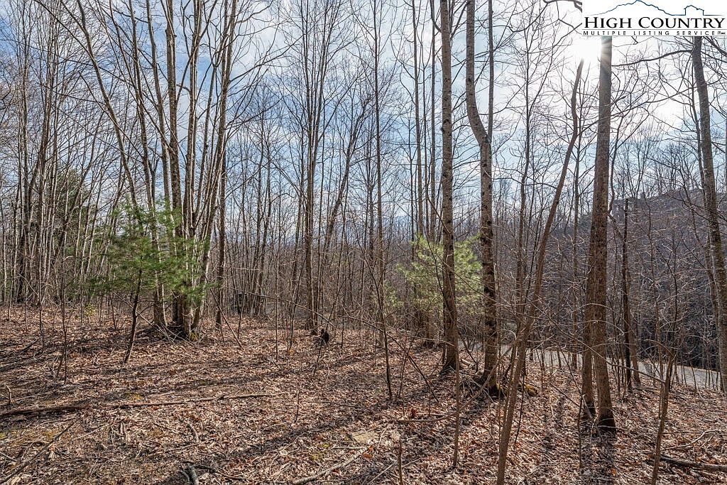 52 Pinnacle Rd Banner Elk, NC 28604 - Thumbnail 4
