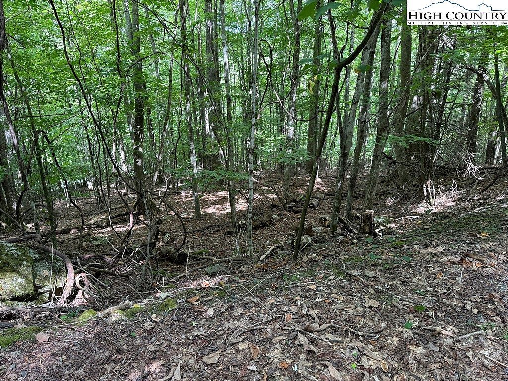 113 Arrowhead Rd Banner Elk, NC 28604 - Thumbnail 4