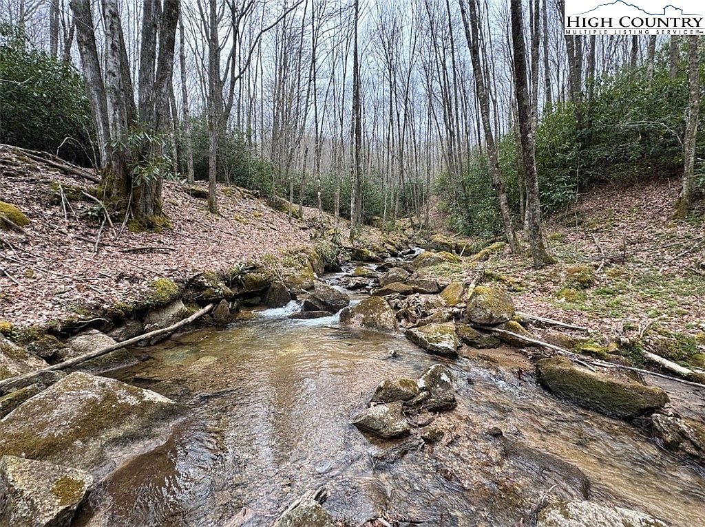 62/ACRE S Buckeye Ridge Rd Banner Elk, NC 28604 - Thumbnail 4