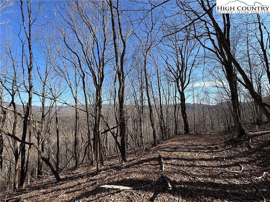 LOT 32 Jewel Weed Trl Newland, NC 28657 - Thumbnail 4