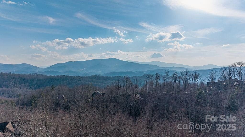 52 Pinnacle Vw Elk Park, NC 28622 - Thumbnail 4