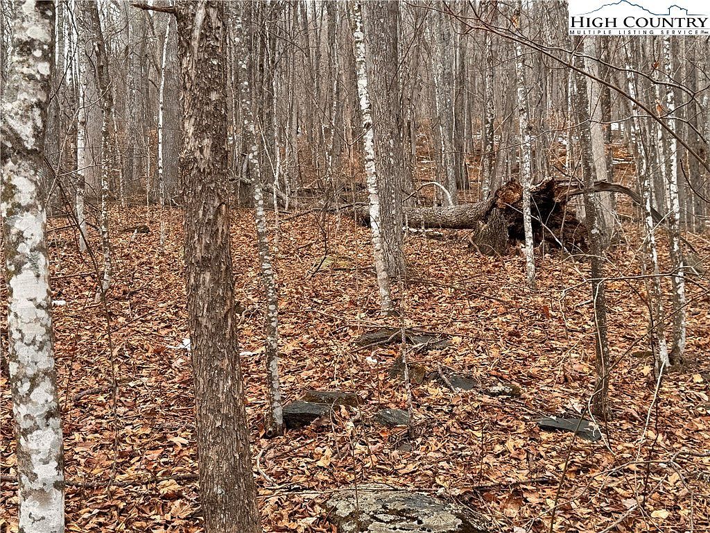 28 Elk Creek Mountain Pkwy Todd, NC 28684 - Thumbnail 4