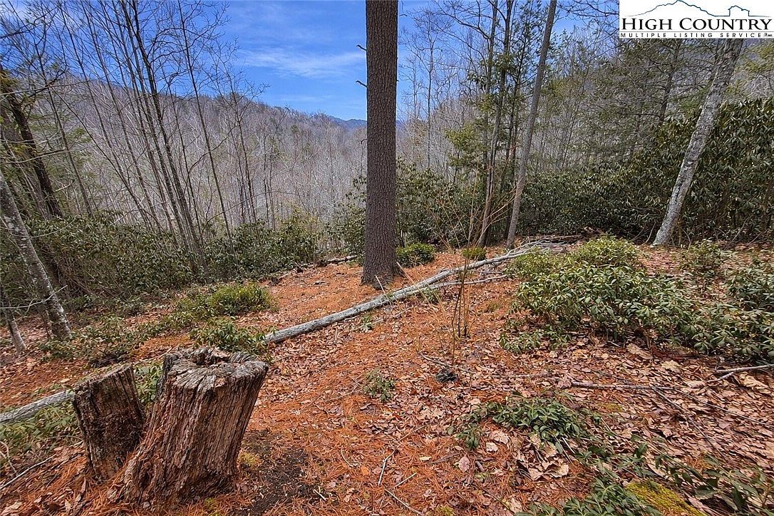 92 Beaver Dam Rd Elk Park, NC 28622 - Thumbnail 4