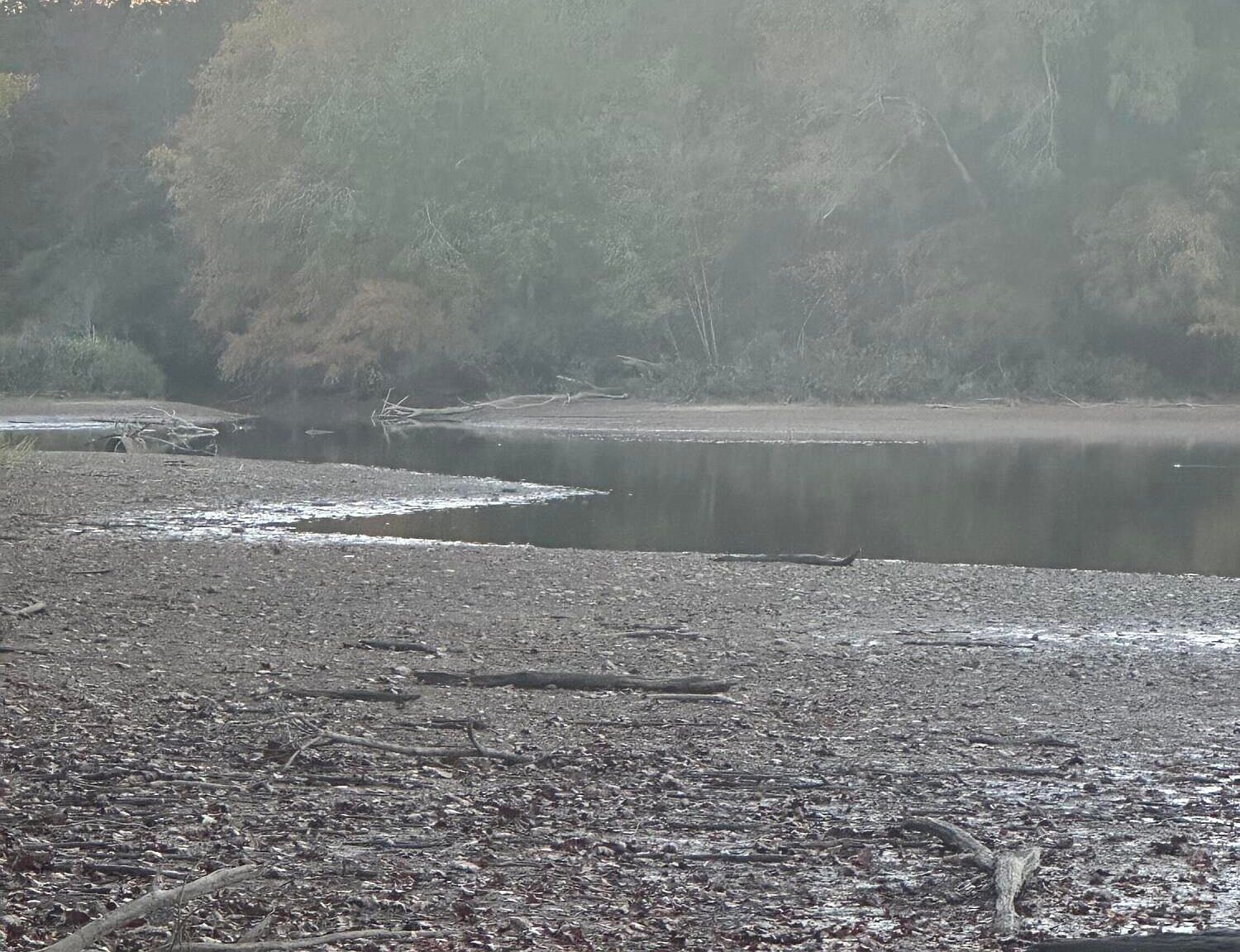 LOT 7 Lake Forest Dr Birchwood, TN 37308 - Thumbnail 4