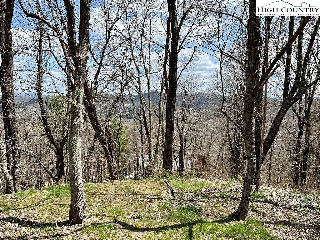 LOT 33 Flat Top Rd Blowing Rock, NC 28605 - Thumbnail 4