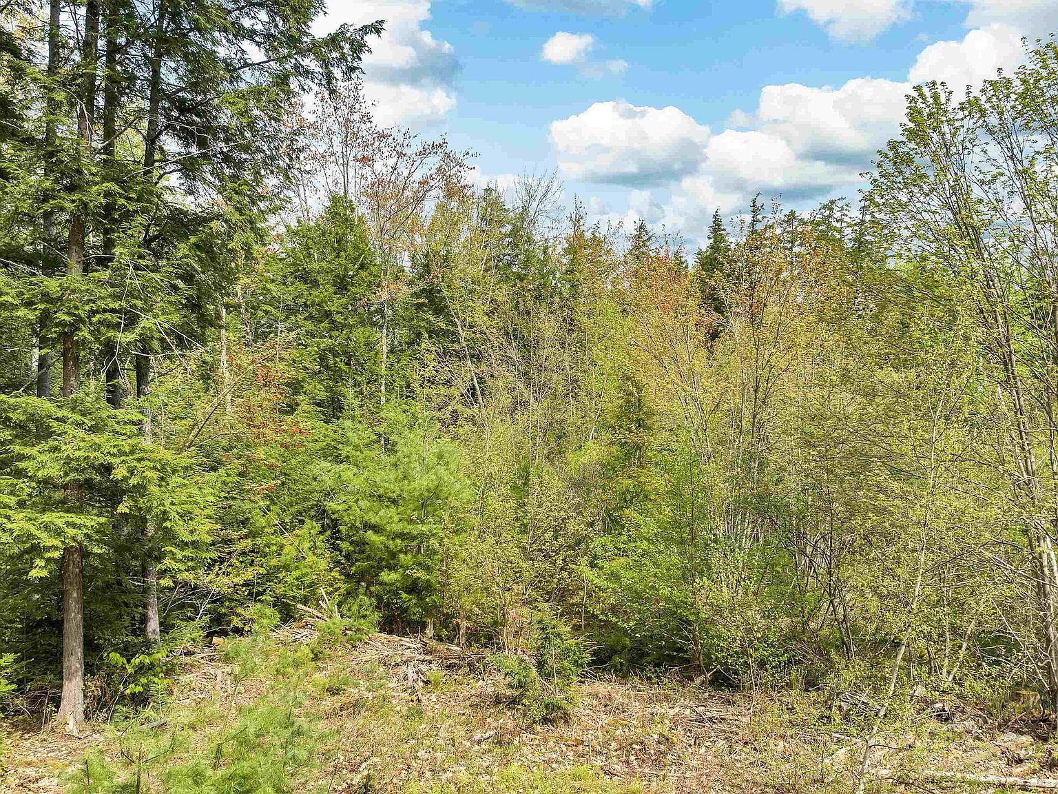 Lots42 43 44 49 G St Conway, NH 03818, Conway, NH, 3818 - Thumbnail 4