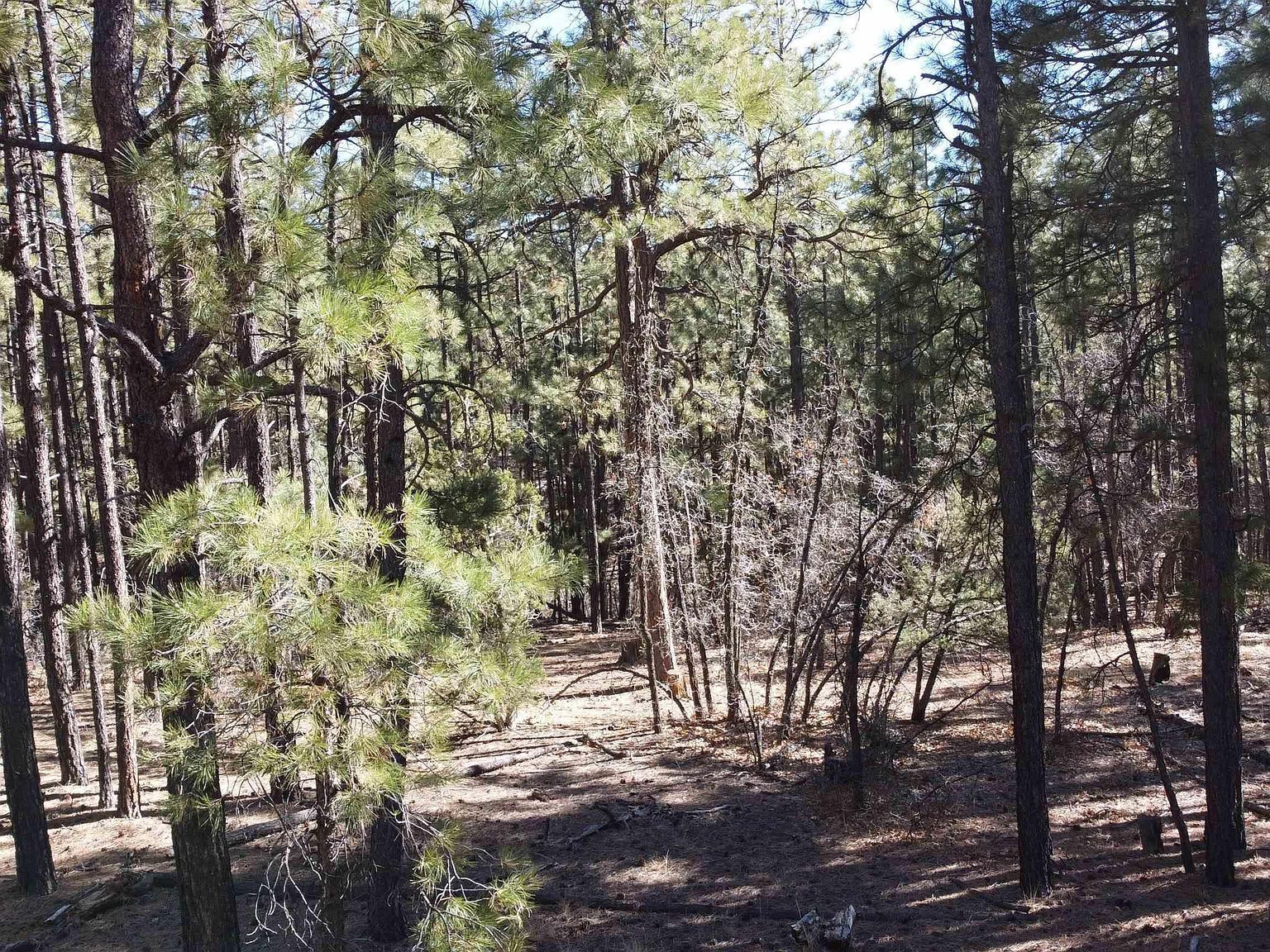 LOT-34C McGaffey Pnes Fort Wingate, NM 87316 - Thumbnail 4