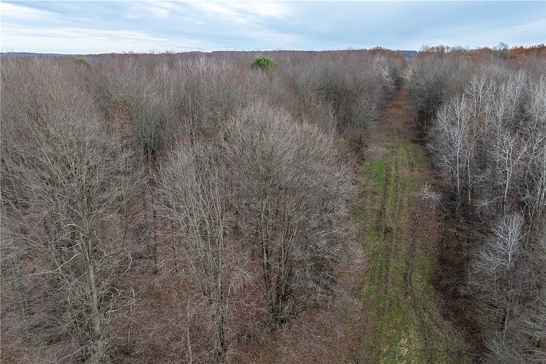 0 Kitch Rd Greenville, PA 16125 - Thumbnail 4