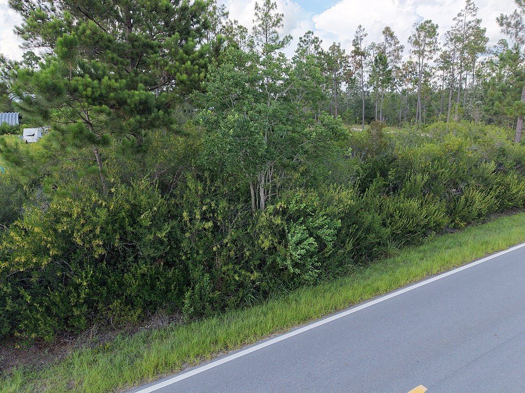 LOT 5 Borders Rd Wewahitchka, FL 32465 - Thumbnail 4
