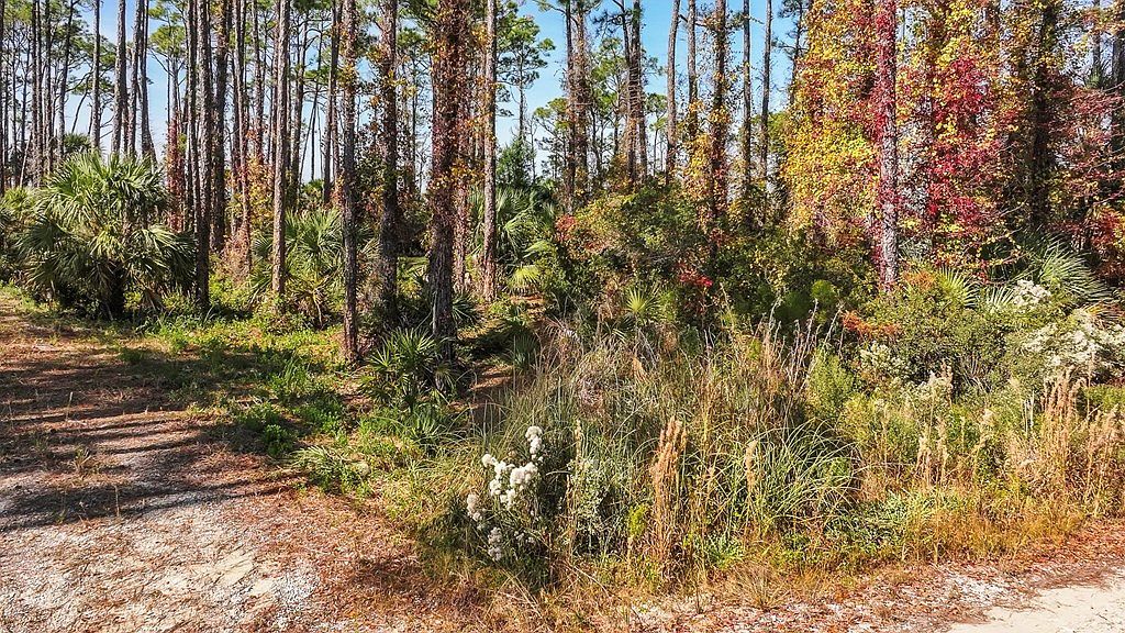 10 Eventide Dr Cape San Blas, FL 32456 - Thumbnail 4