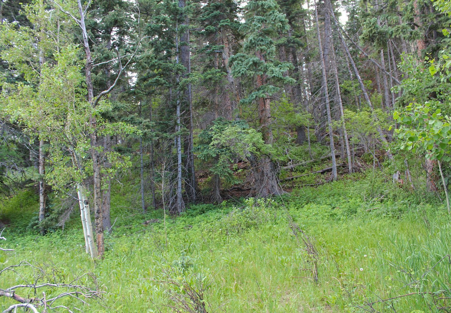 178 Simmons Rd Westcliffe, CO 81069 - Thumbnail 4