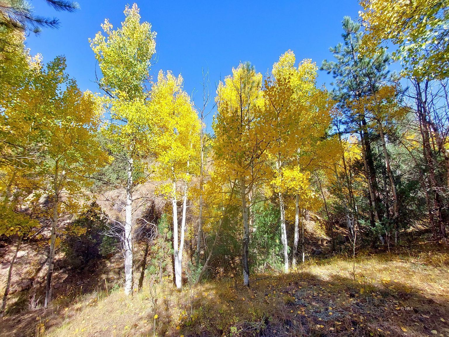 Tbd Shirley Ln, Westcliffe, CO, 81252 - Thumbnail 4