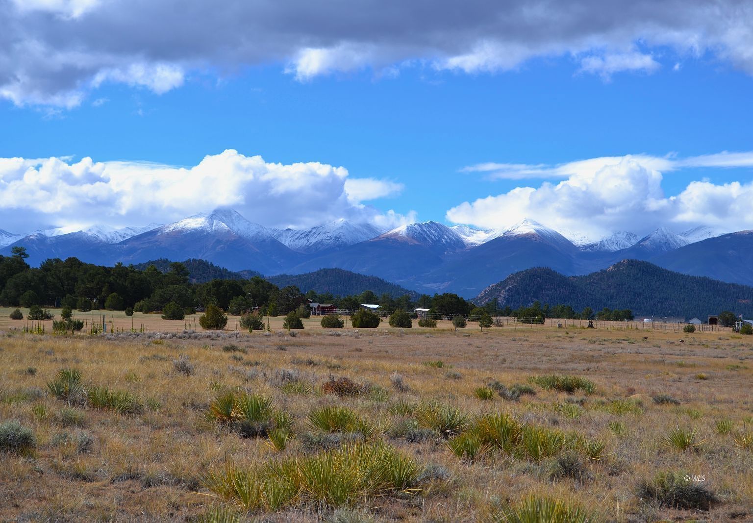 395 Gibbons Trail Way Cotopaxi, CO 81223 - Thumbnail 4