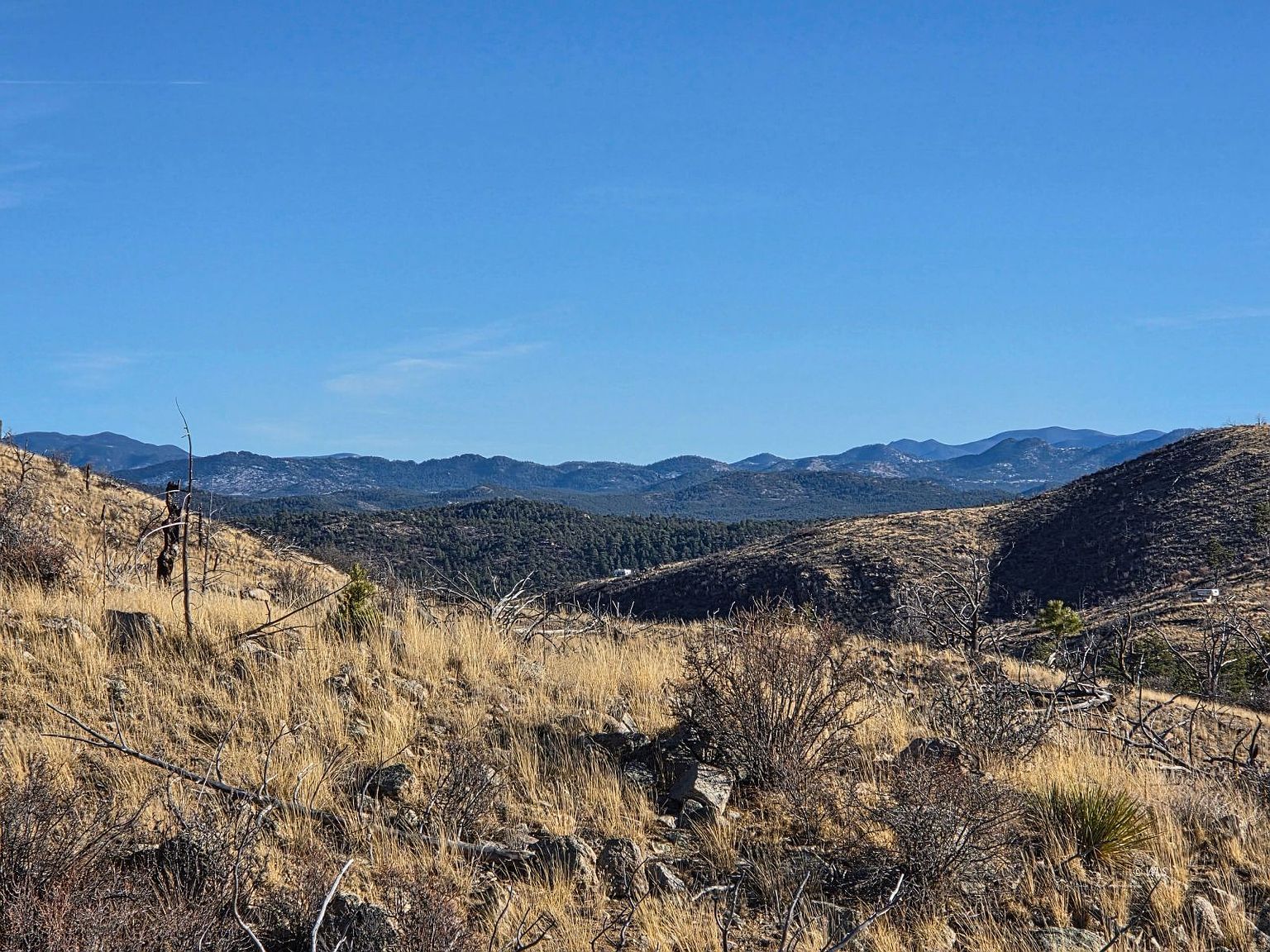 430 Shannon Trl Cotopaxi, CO 81223 - Thumbnail 4