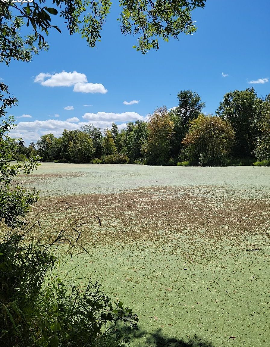 90210 Merryman Rd Eugene, OR 97402 - Thumbnail 4