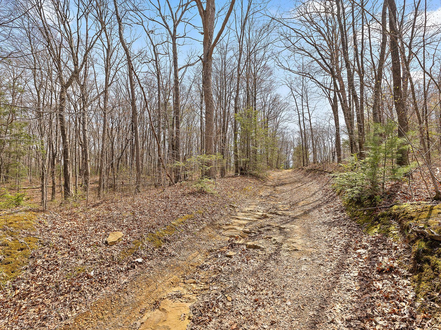 17.65 Blaine Smith Rd Graysville, TN 37338 - Thumbnail 4