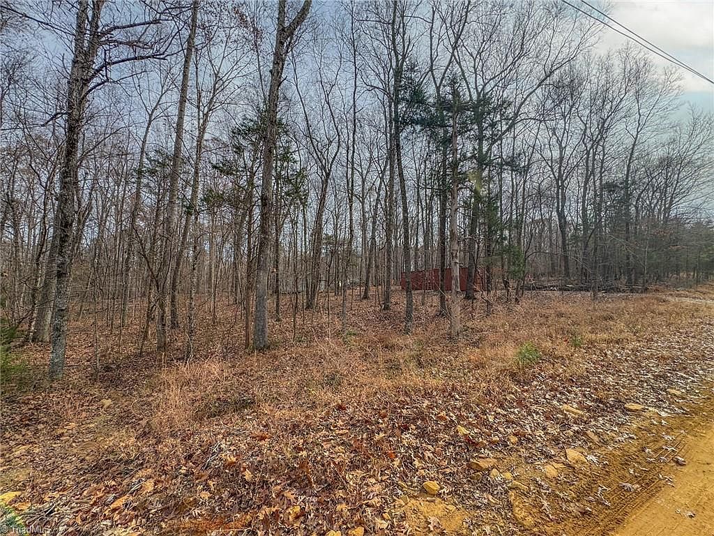 6124 Wild Horse Canyon Rd Snow Camp, NC 27349 - Thumbnail 4