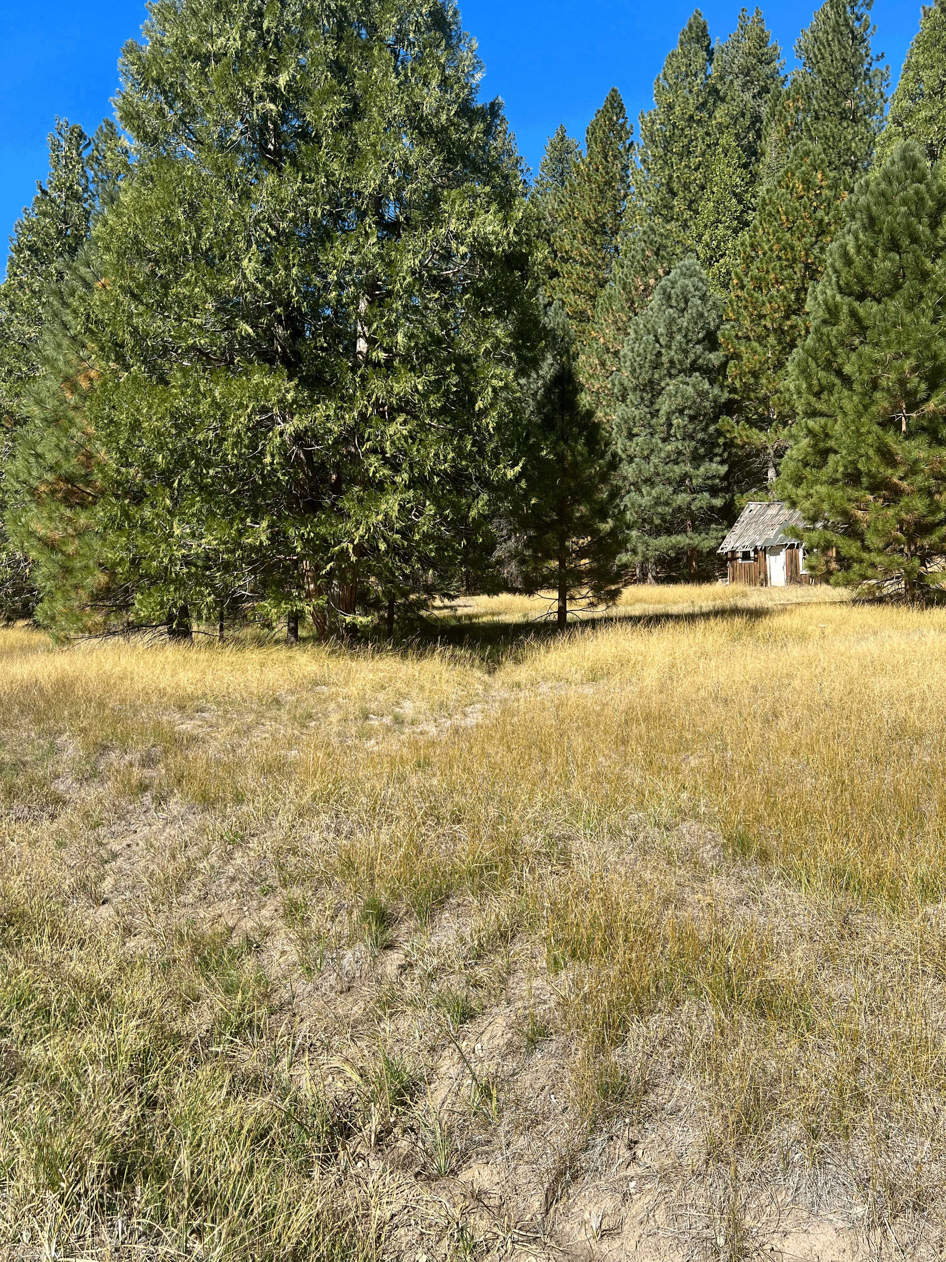 28130 Old Strawberry Drive, Long Barn, CA, USA, 95335 - Thumbnail 4