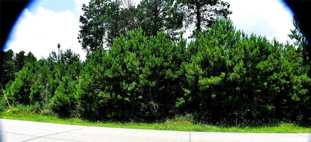 238 County Road 3545 Cleveland, TX 77327 - Thumbnail 4