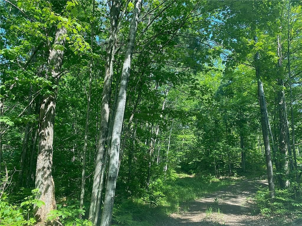 LOT 7 N Secluded Trl Hayward, WI 54843 - Thumbnail 4