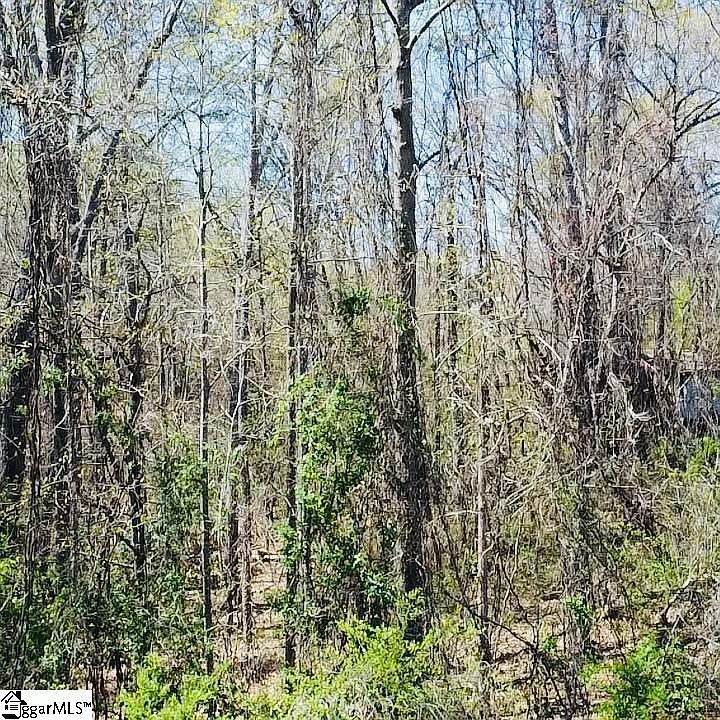 0 Old School House Rd Liberty, SC 29657 - Thumbnail 4