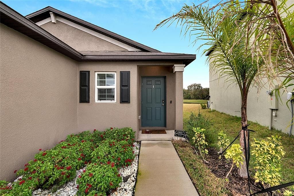 12741 Maple Bonsai Dr Riverview, FL 33579 - Thumbnail 4