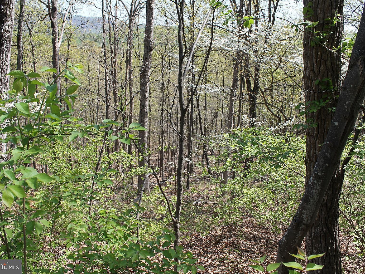 Hillandale Rd Front Royal, VA 22630 - Thumbnail 4