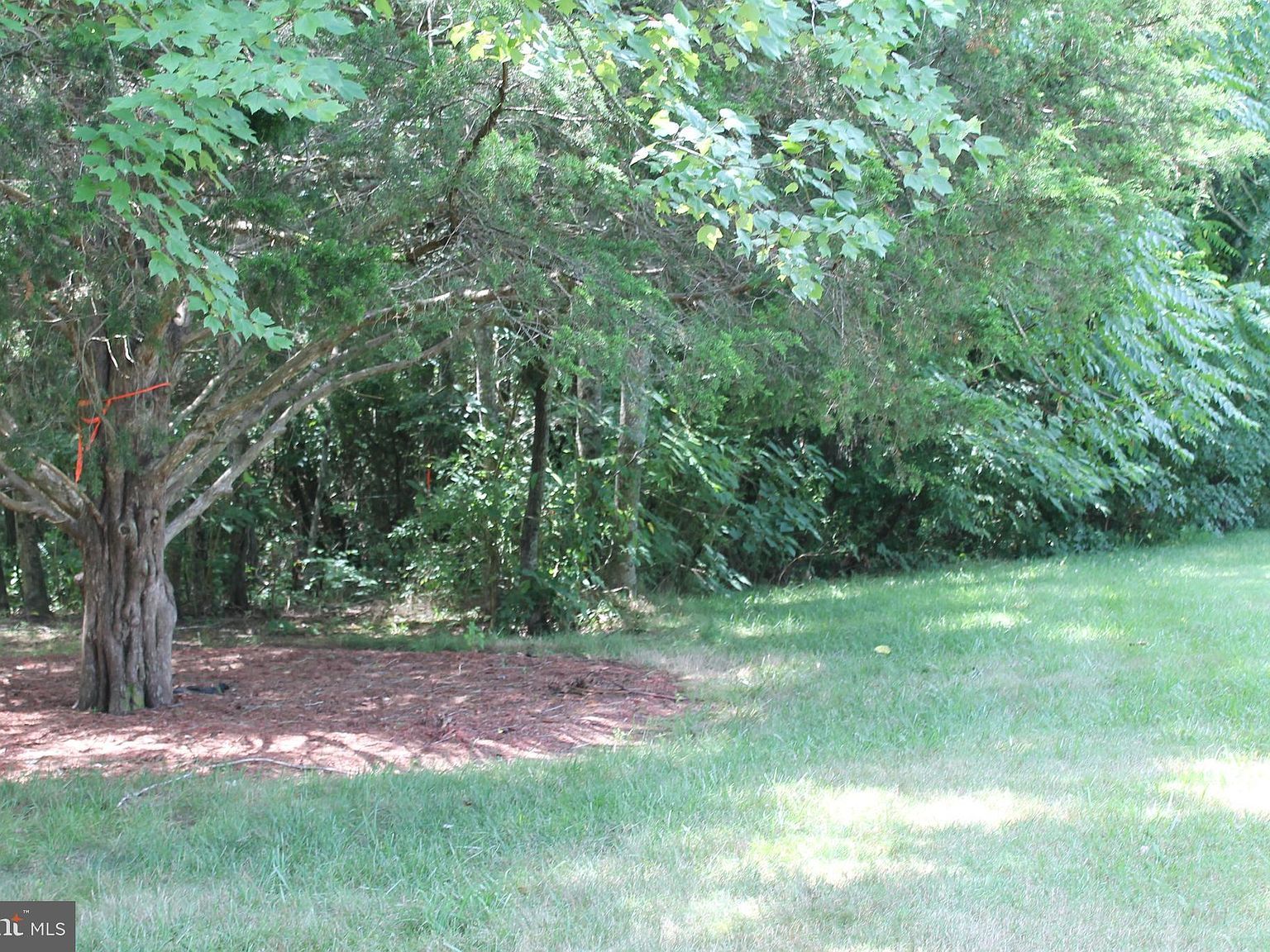 Marye Rd Woodford, VA 22580 - Thumbnail 4