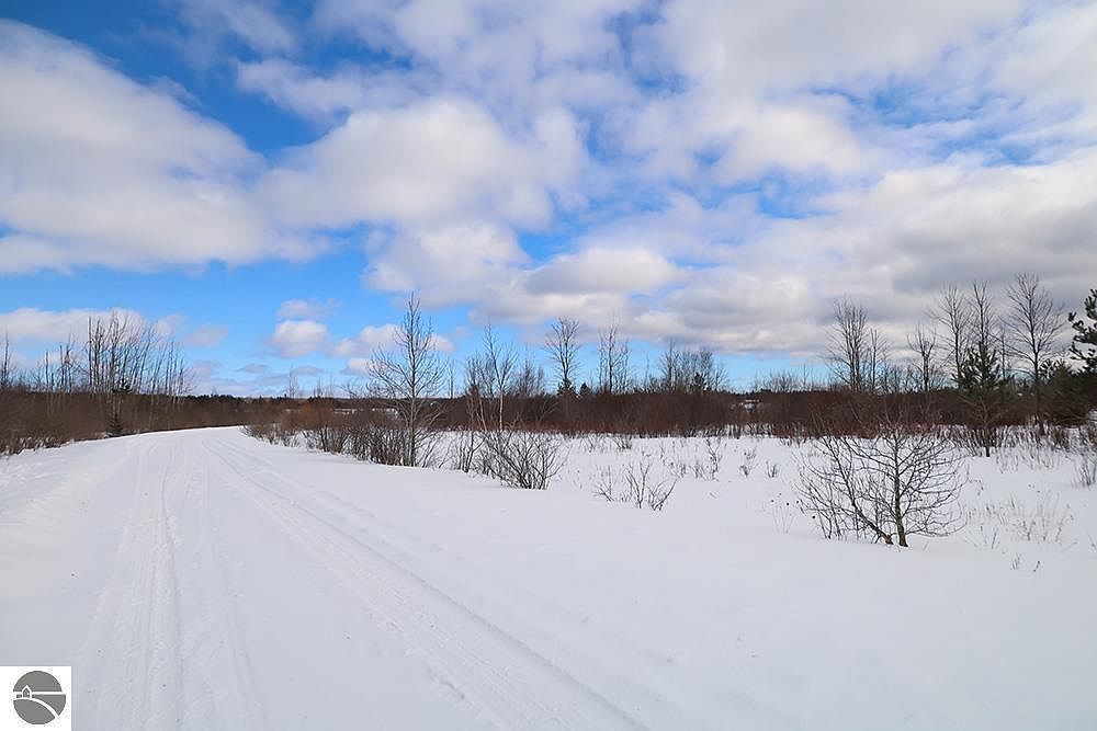 6412 Lora Bette Dr Alanson, MI 49706 - Thumbnail 4