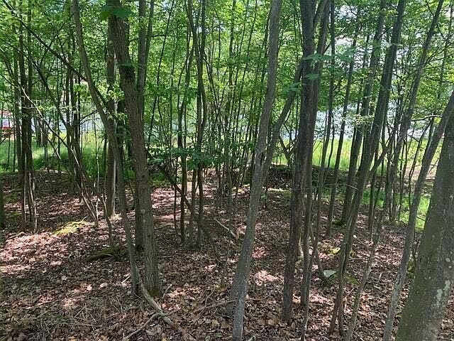 Treasure Lake Rd LOT 729 Du Bois, PA 15801 - Thumbnail 4