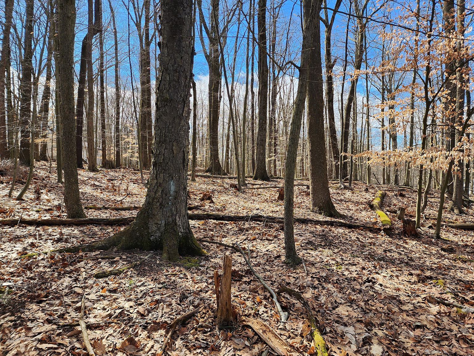 Admiral Dunbar Rd LOT 92 Du Bois, PA 15801 - Thumbnail 4