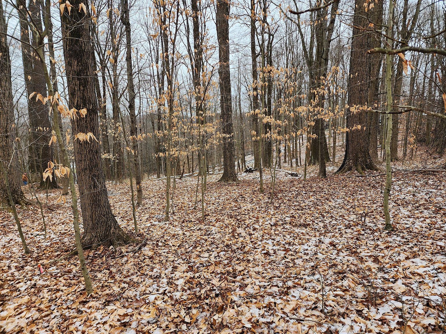Greater Antilles Ct LOT 91 Du Bois, PA 15801 - Thumbnail 4