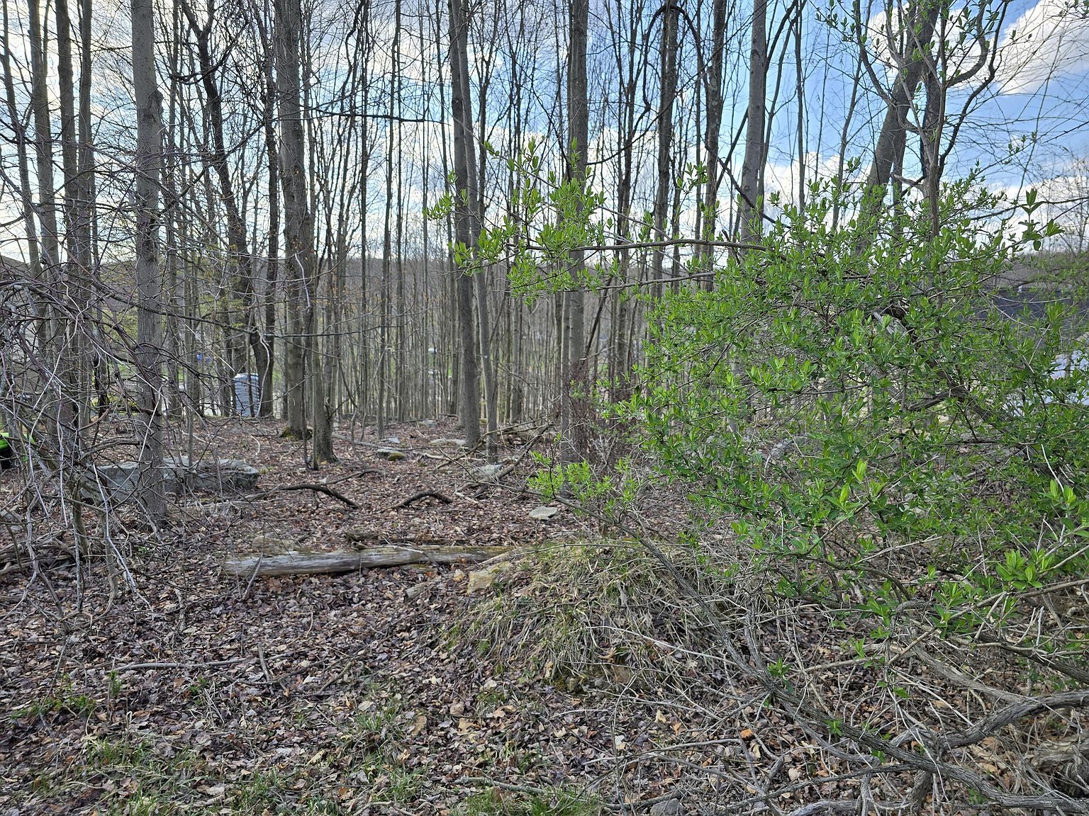 Treasure Lake Rd LOT 751 Du Bois, PA 15801 - Thumbnail 4