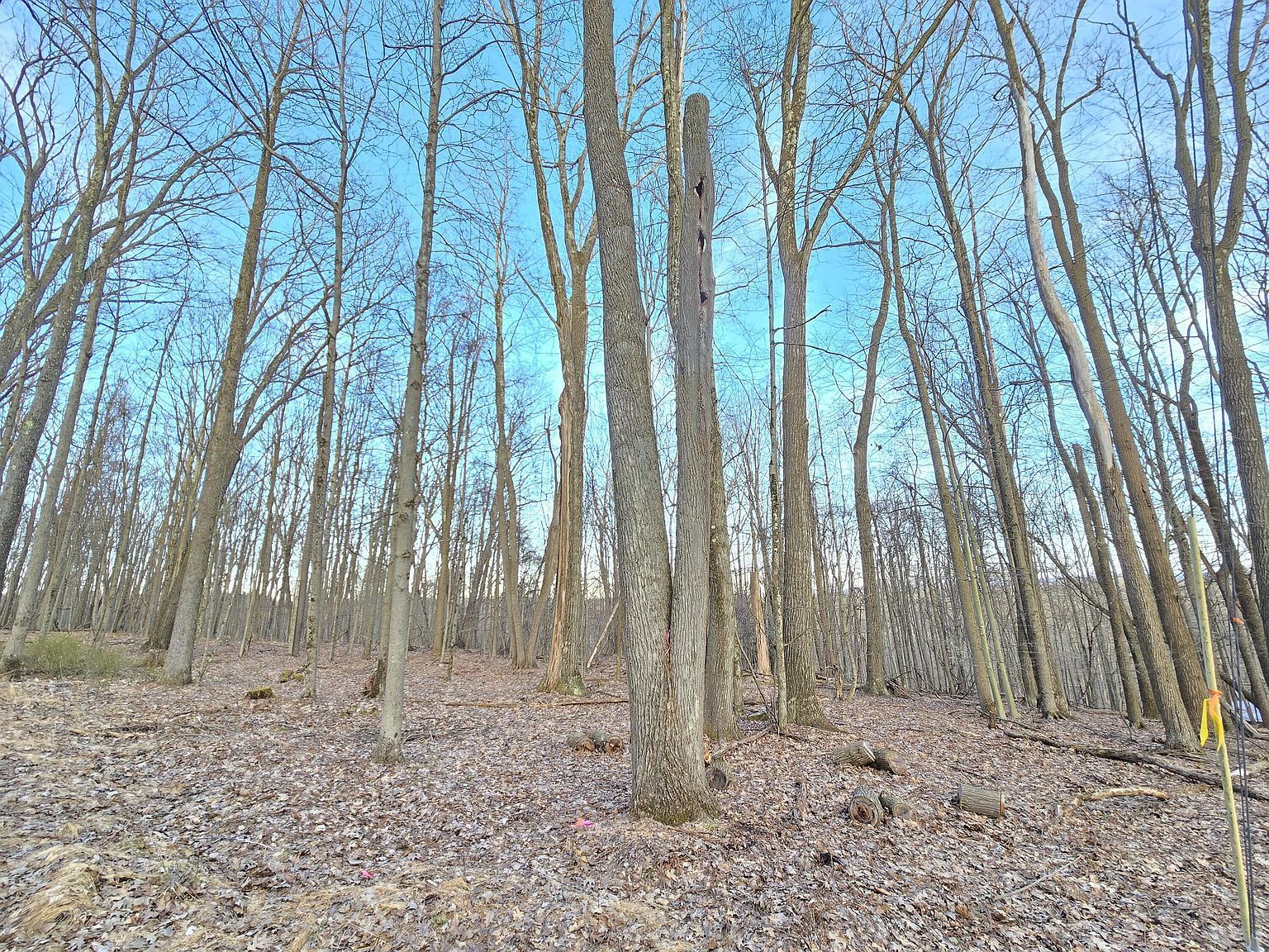 Pointe D Enfer Rd LOT 210 Du Bois, PA 15801 - Thumbnail 4