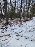 897 Pico Ln Tafton, PA 18464 - Thumbnail 4