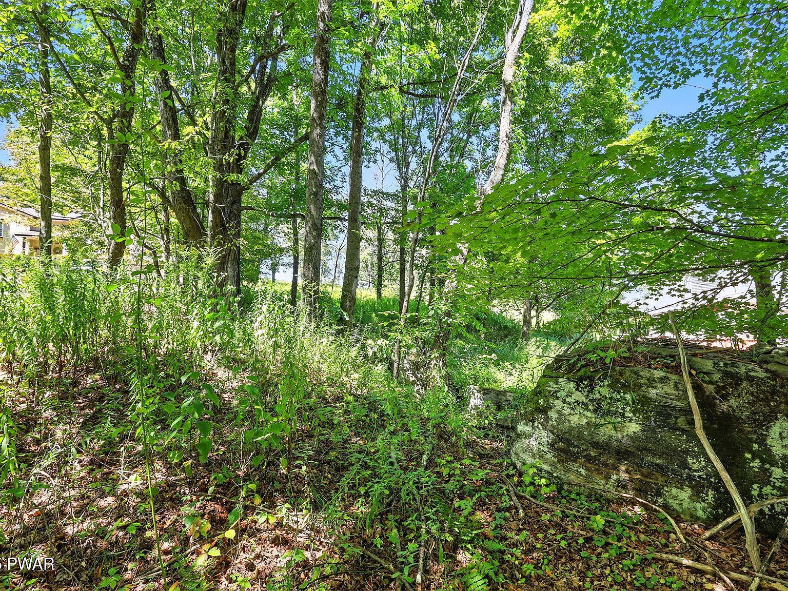 45 Forest Ln Lake Ariel, PA 18436 - Thumbnail 4