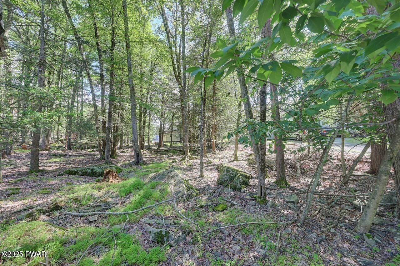 54 Wallenpaupack Dr Lake Ariel, PA 18436 - Thumbnail 4