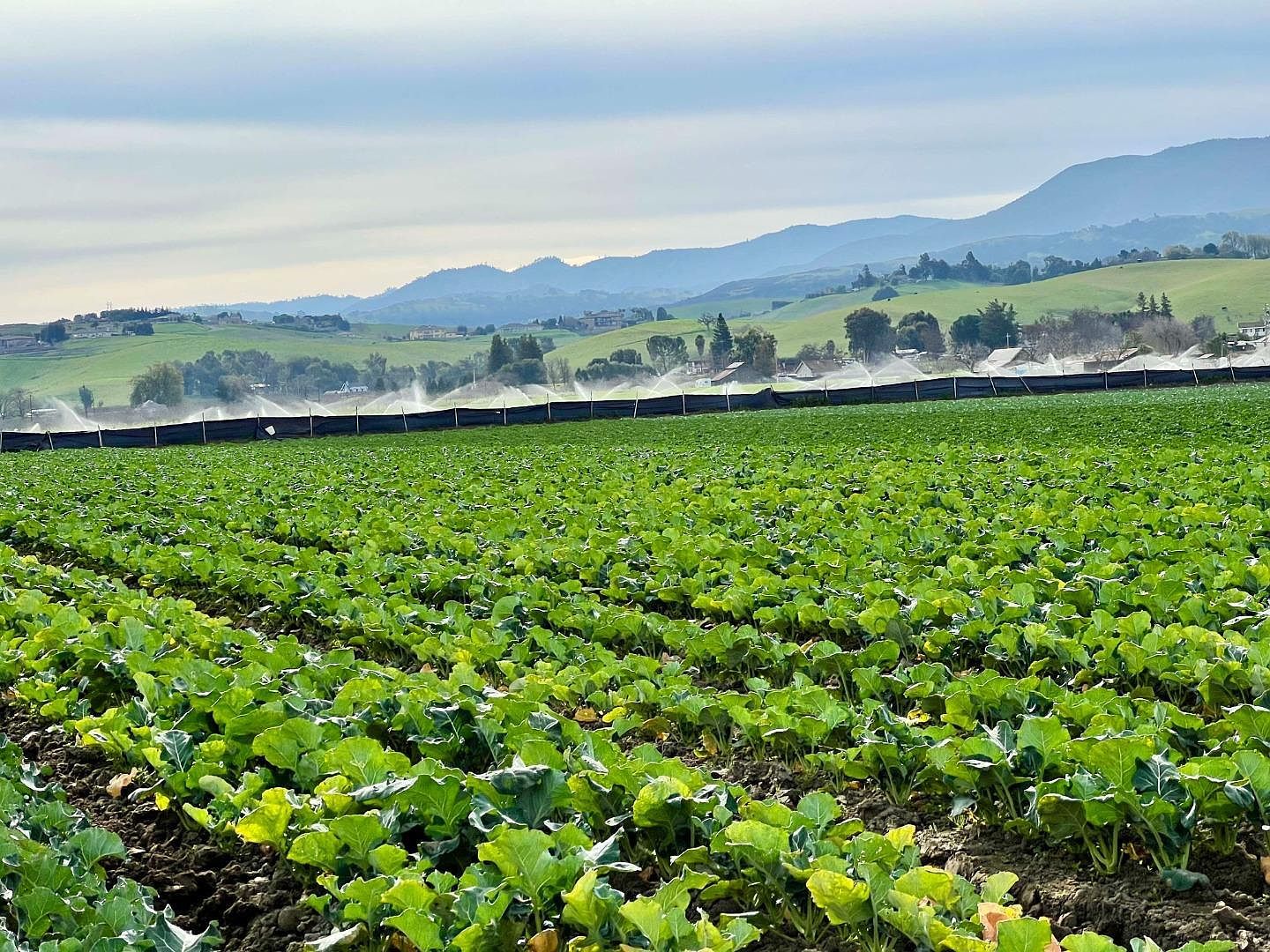 Riverside Hollister, CA 95023 - Thumbnail 4