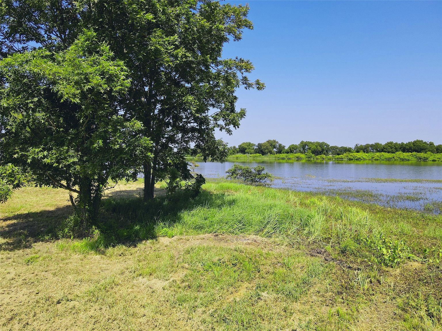 5086 Waterfront Rd Kerens, TX 75144 - Thumbnail 4