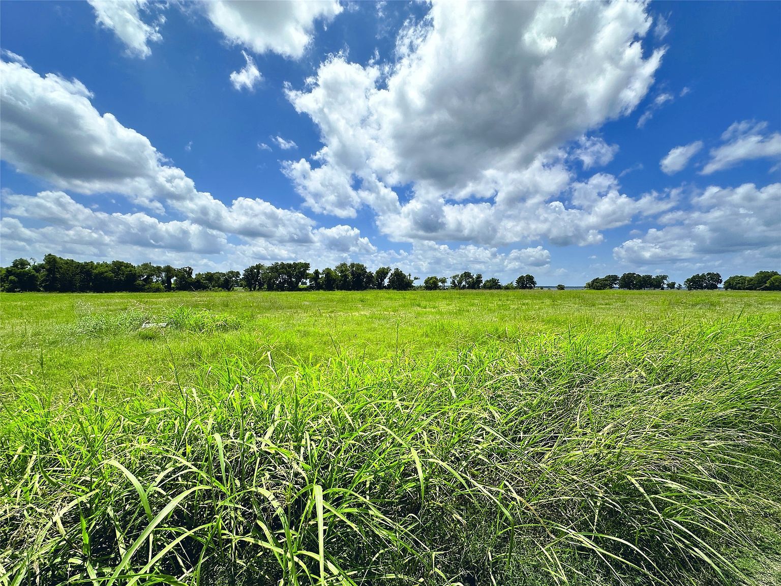 LOT 4 Oasis Dr Kerens, TX 75144 - Thumbnail 4