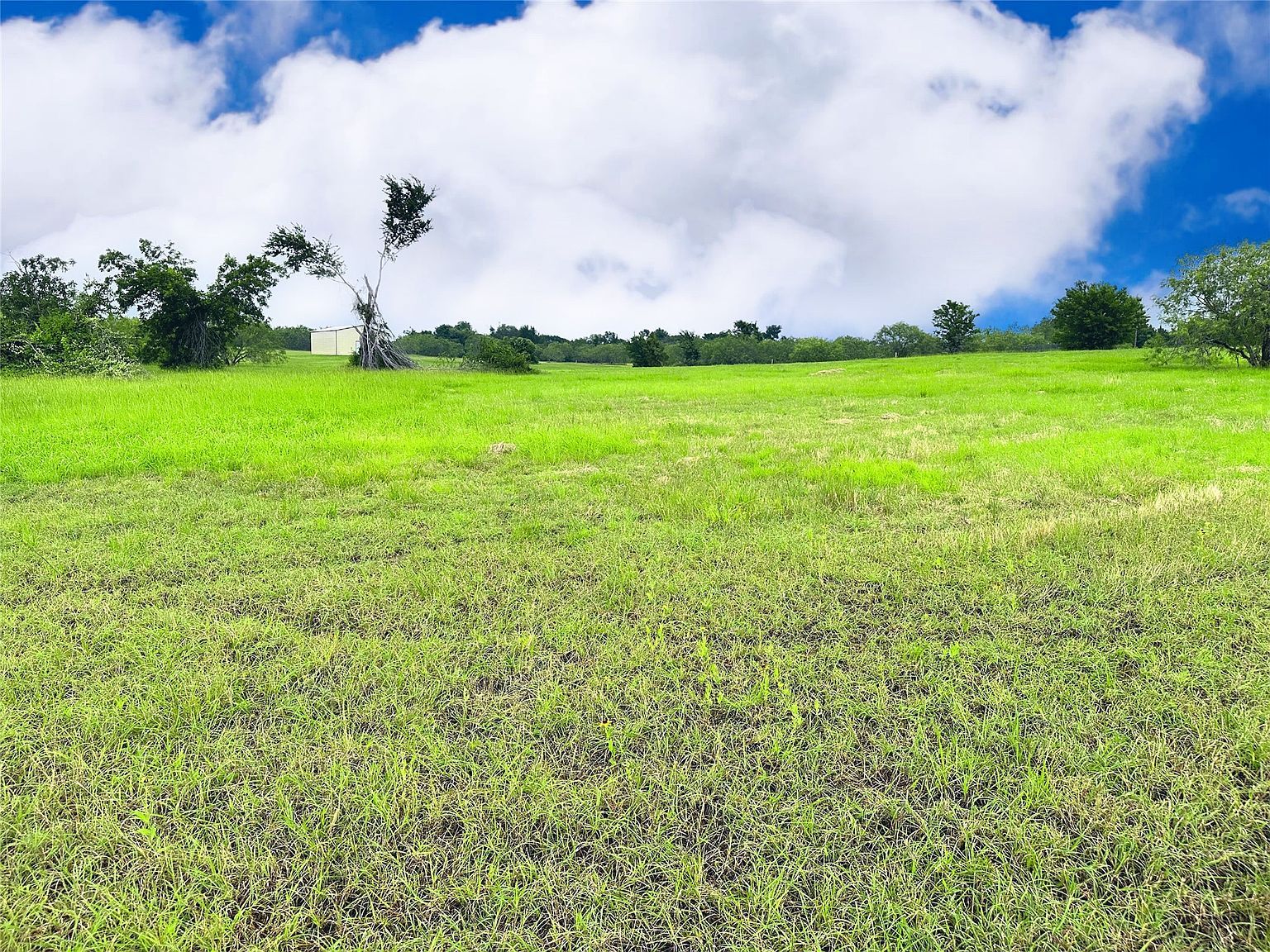 LOT 134 Lake Vista Dr Streetman, TX 75859 - Thumbnail 4