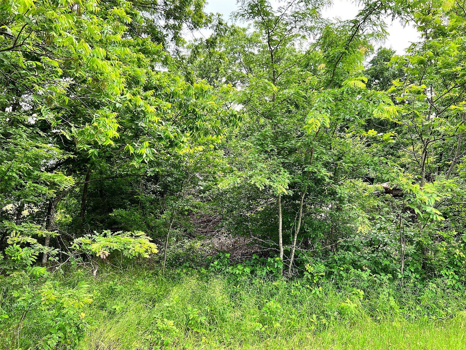 LOT 78 Clubhouse Dr Corsicana, TX 75109 - Thumbnail 4