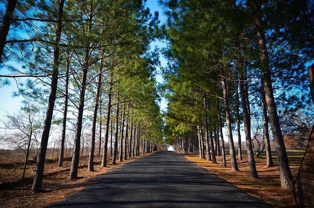 131 Lincoln Dr Streetman, TX 75859 - Thumbnail 4